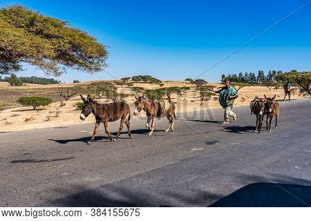 Gondar, Ethiopia - Feb 07, 2020: Ethiopian People On The Road From Gondar To The Simien Mountains, N