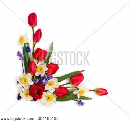 Decoration Of Women's Day Or Mother's Day. Beautiful Red Tulips, Narcissus, Hyacinths And Flowers Mu