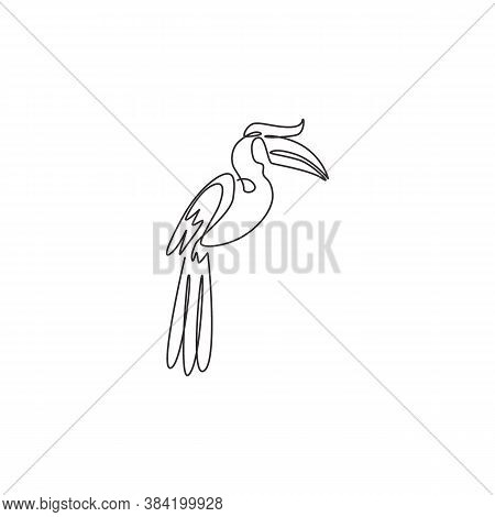 One Continuous Line Drawing Of Cute Great Hornbill For Company Logo Identity. Large Beak Bird Mascot