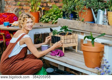 Gardener In Overalls Working, Cleaning, Taking Care Of Plants In Cozy Yard Or Terrace At Open Air. H