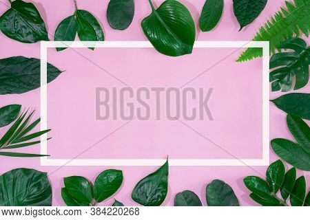 Tropical Leaves, Green Leaves Texture, Nature Background