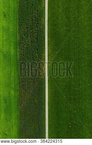 Areal View Of Crop Fields In Sunny Summer Day. Agriculture Concept