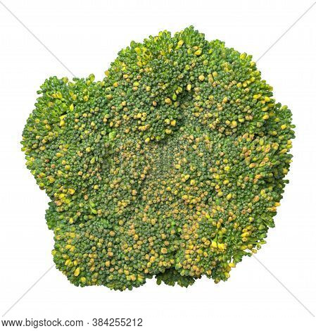 Broccoli Macro Photography. Vegetable Fresh Raw Texture.