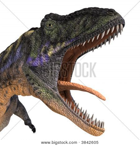 공룡 Aucasaurus