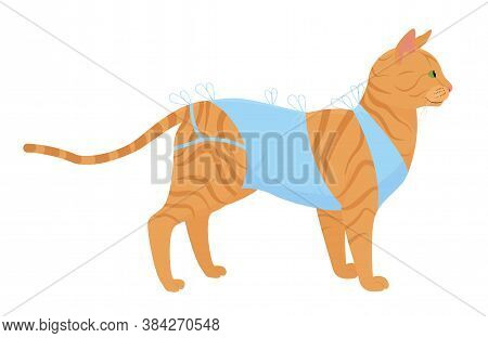 Cat Bandage After Surgery Vector Illustration. Cartoon Ginger Tabby Cat In Bandage After Neutering I