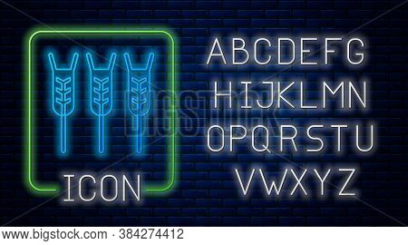 Glowing Neon Cereals Set With Rice, Wheat, Corn, Oats, Rye, Barley Icon Isolated On Brick Wall Backg