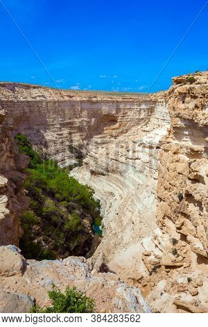  Picturesque ancient oasis. The magnificent gorge Ein Avdat is the most beautiful in the Negev desert. Israel. The concept of environmental and photo tourism. Bird's eye view
