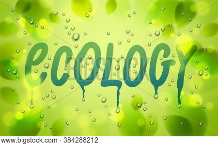 Ecology Word Drawn On A Window, Fresh Green Leaves And Water Rain Drops Or Condensate Macro, Vector 
