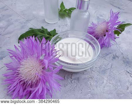 Cream Cosmetic Flower On Concrete Background Sample