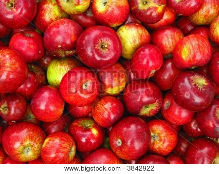 Apple fond