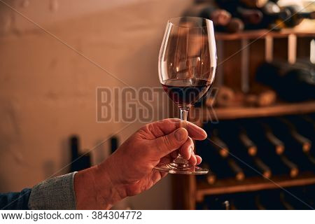 Male Sommelier Holding Glass Of Red Wine