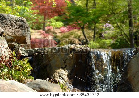 Sérénité à Woodland Garden