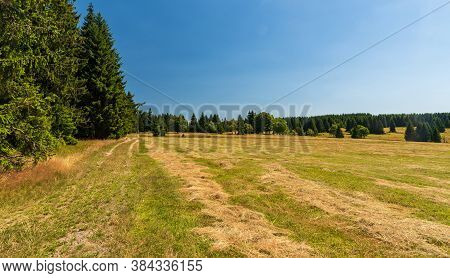 Mountain Meadow With Isolated Trees, Forest Around And Clear Sky Above On Place Of Former Village Ro