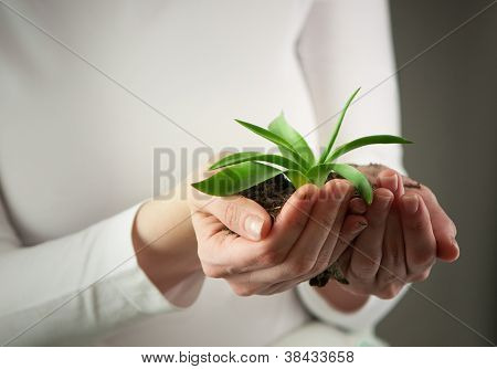 New Life