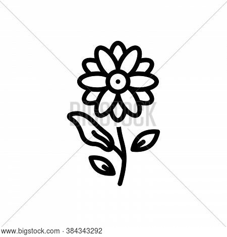 Black Line Icon For Magnolia Burgeon Summer Gardenia Aromatherapy Spring Floral Decoration Natural F