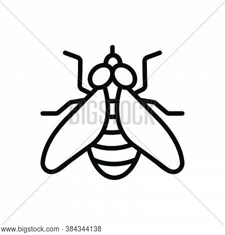 Black Line Icon For Fly Housefly Drake Blowfly Muzzle Sight Bug Insecticide Dirty Prejudicial Critte