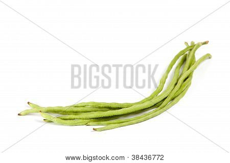 Green Yardlong Bean