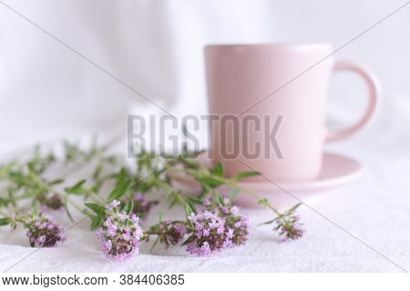 Purple Little Thymus Pulegioides, Common Names Lemon Thyme On White Background.thymus Pulegioides Is