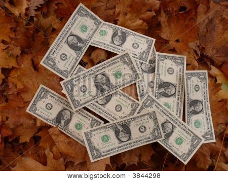 Dolar yapraklarda