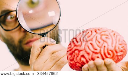 Adult Nerd Man Wearing Eyeglasses Looking At Human Brain Model. Thinking And Intelligence Conept