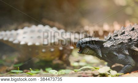Ankylosaurus Was A Herbivorous Type Of Armored Dinosau, A Dinosaur From The Late Cretaceous. On Blur