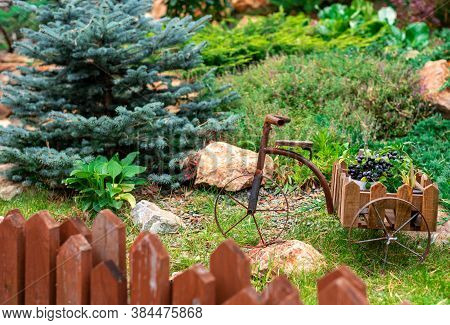 Bicycle-shaped Flower Stand On A Flower Bed In The Garden.