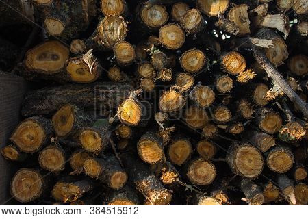 A Stack Of Logs In The Backyard Background With Logs