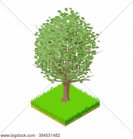 American Elm Icon. Isometric Illustration Of American Elm Vector Icon For Web