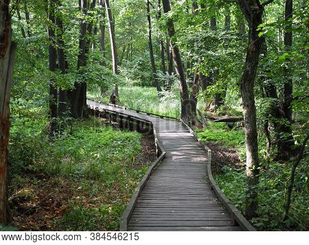 Wooden Bridge Trough The Forest In A Nature Park. The Concept Of Ecotourism