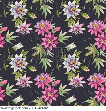 Beautiful Vector Seamless Floral Pattern With Watercolor Summer Passionflower Flowers. Stock Illustr