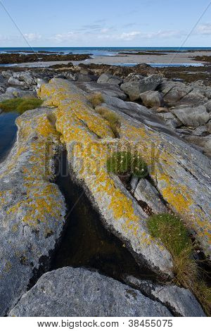Kayalar ve South Uist havuzlarında Rock