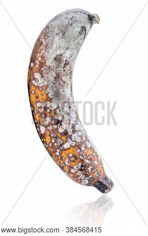 Rootten Banana Isolated On White Background, Clipping Paths