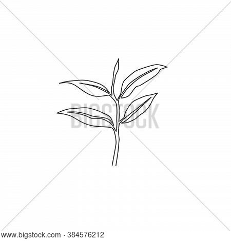 One Single Line Drawing Healthy Organic Tea Leaves For Plantation Logo Identity. Fresh Tender Bud Of