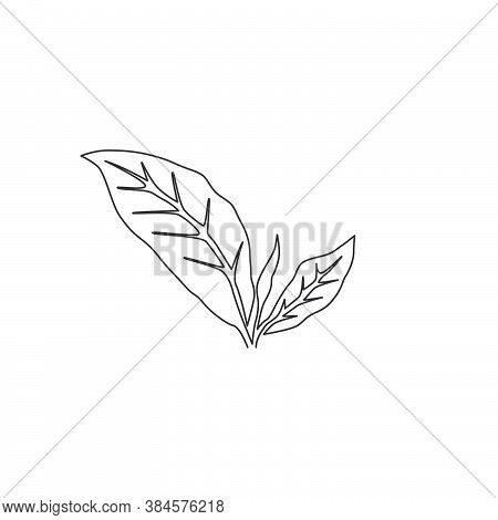 Single Continuous Line Drawing Healthy Organic Tea Leaves For Plantation Logo Identity. Fresh Tender