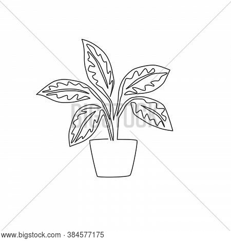 One Single Line Drawing Cute Potted Tropical Leaf Aglaonema Plant. Printable Decorative Houseplant C