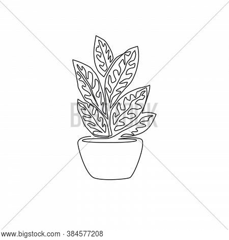 One Single Line Drawing Of Cute Potted Tropical Aglaonema Plant. Printable Decorative Houseplant Con