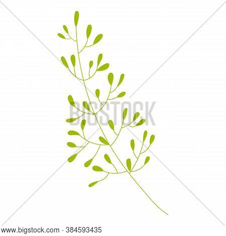 Vector Illustration: Cute Flower Twig. Spring Flower Isolated On White Background. Illustration For 