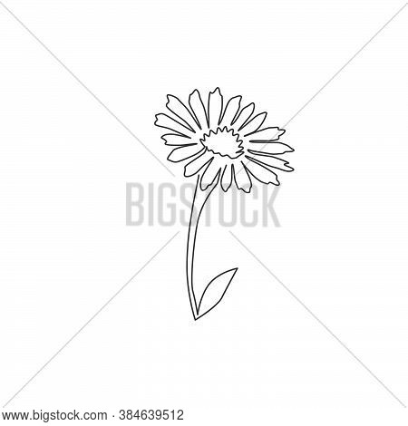 Single Continuous Line Drawing Of Beauty Fresh Bellis Perennis For Home Wall Decor Poster Art. Print