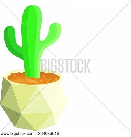 Green Cactus In Octagonal Pot Illustration Vector