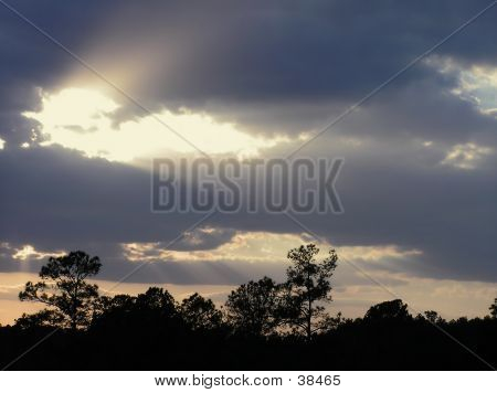 Rays Of Light