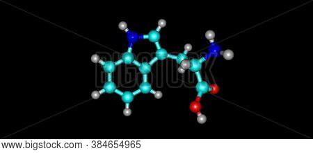 Tryptophan Or Trp Is An Alpha-amino Acid That Is Used In The Biosynthesis Of Proteins, 3d Illustrati