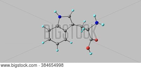 Tryptophan Or Trp Is An Alpha-amino Acid That Is Used In The Biosynthesis Of Proteins, 3d Illustrati