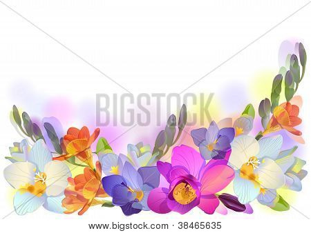 horizontale Vektor Hintergrund mit sanften Magnolia Blumen