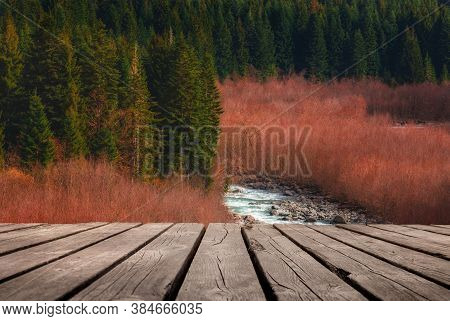 Beautiful Early Spring Time Scene In Forest With River And Empty Wooden Table. Natural Template Land