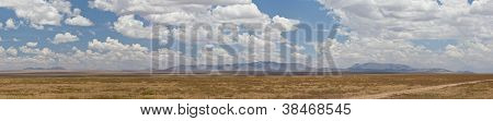 Serengeti Panorama