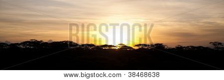 Serengeti Sunrise