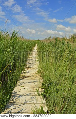 A Wooden Boardwalk In The Wetlands Of Isola Della Cona In Friuli-venezia Giulia, North East Italy