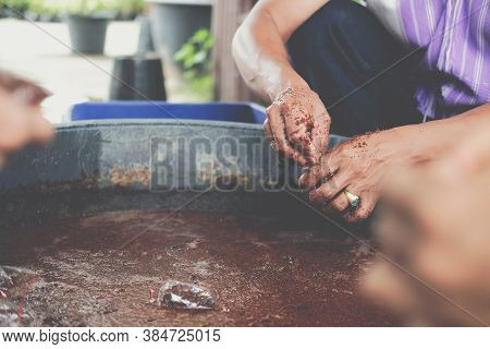 Hand Putting Coconut Coir In Plastic Bag For Grafting Plant Tree