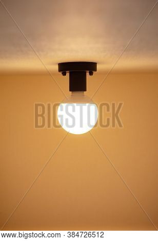 Light bulb on ceiling. A round type incandescent color LED light bulb attached to a simple black light socket.