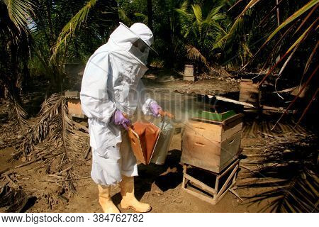 Eunapolis, Bahia / Brazil - May 11, 2009: Beekeeper Is Seen Next To The Bee Hive In The City Of Euna